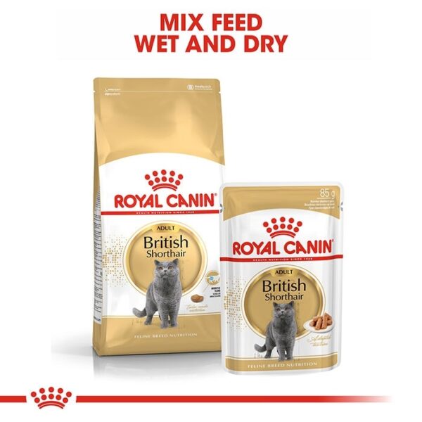 British Shorthair Adult Cat Food 85g x12 - Image 6