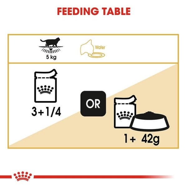 British Shorthair Adult Cat Food 85g x12 - Image 5