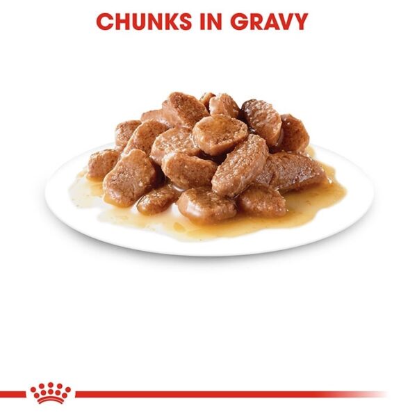 Ageing 12+ Cat Food in Gravy 85g x12 - Image 4