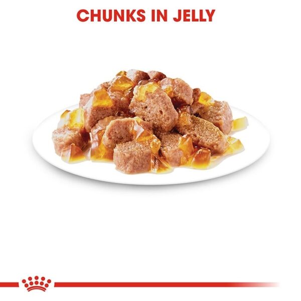 Ageing 12+ Cat Food in Jelly 85g x12 - Image 3