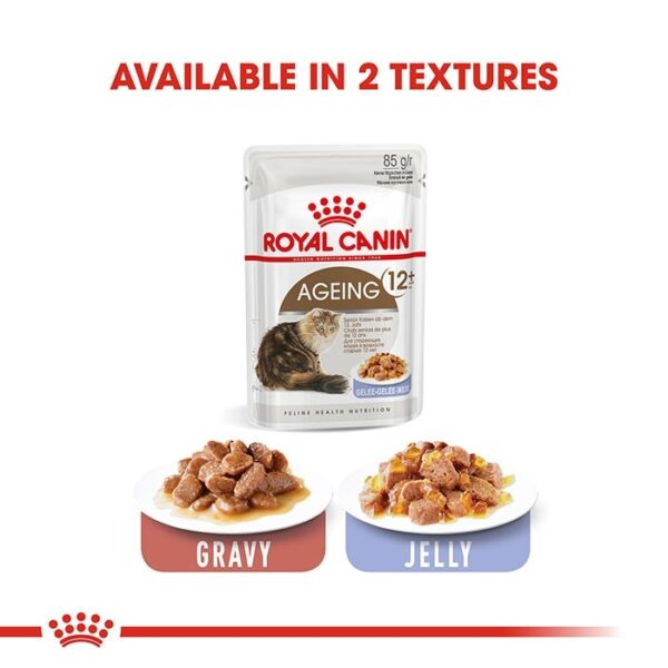 Ageing 12+ Cat Food in Jelly 85g x12 - Image 6