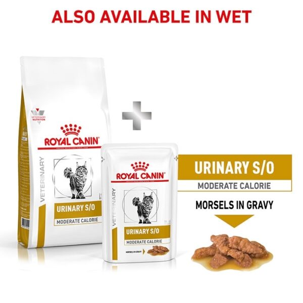 Urinary S/O Moderate Calorie Adult Dry Cat Food - Image 7