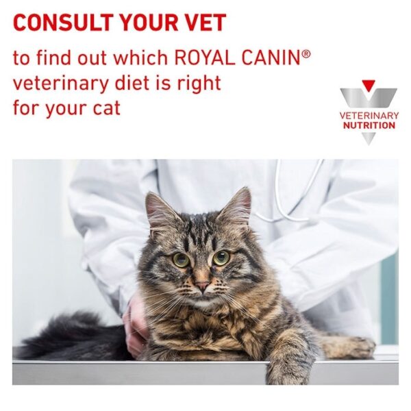Urinary S/O Moderate Calorie Adult Dry Cat Food - Image 8