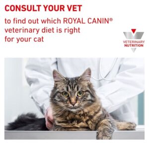 Satiety Weight Management Cat Wet Food Pouch 85g x 12